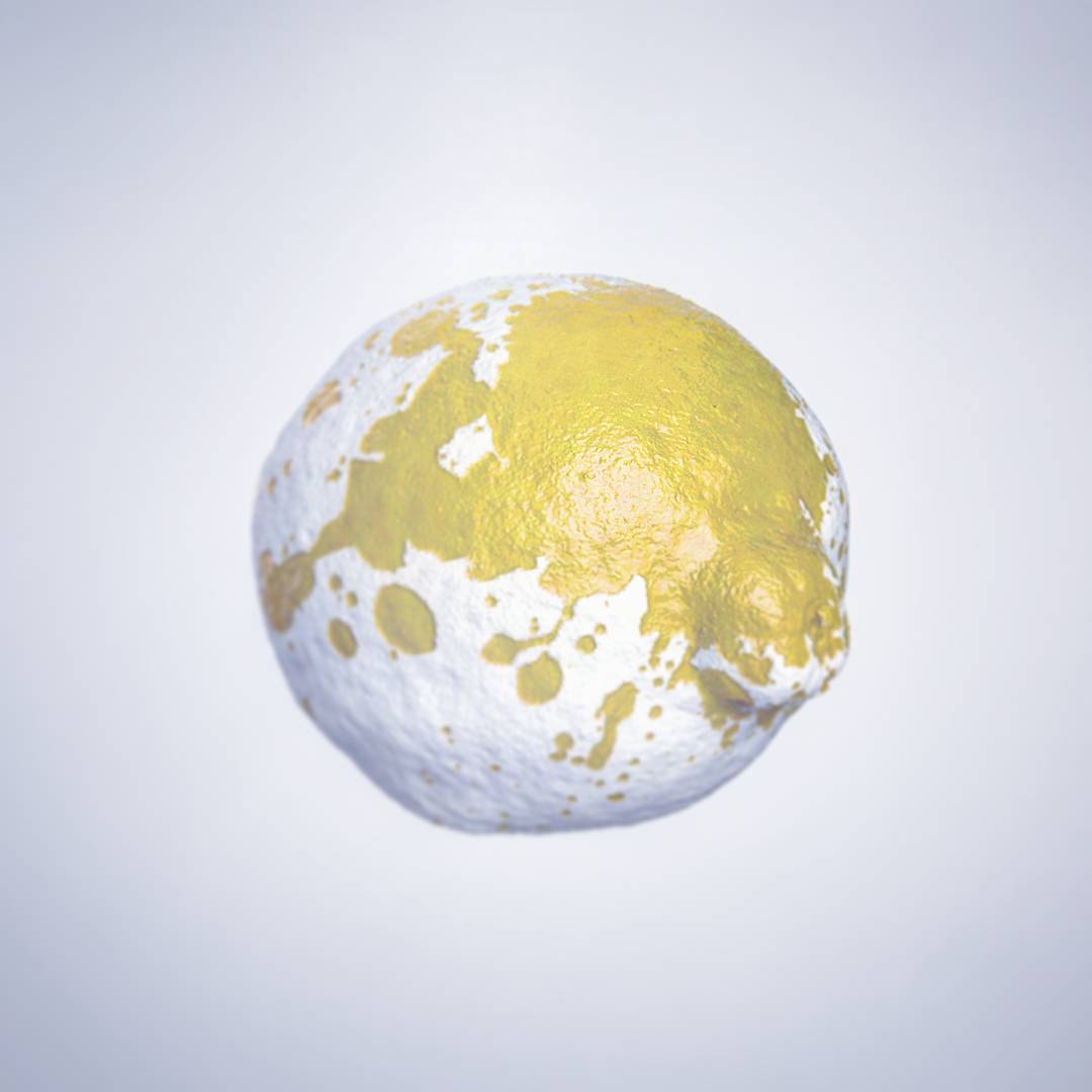 Lemon splash with model by @_blankrepository And inspiration from @esbenoxholm
|
#render #rendering 